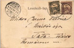 1902 Tusnádfürdő, Baile Tusnad; Gyógyterem. Adler Alfréd fényképész / Cursalon / spa, bath. Floral (...