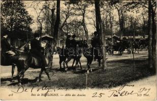 1909 Paris, Bois de Boulogne, Allée des Acacias / park, men riding horses (EK)