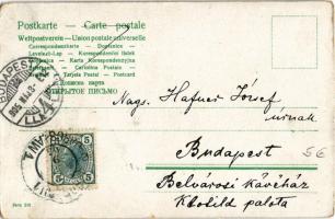 1905 Toilet humour, children with cat (EM)