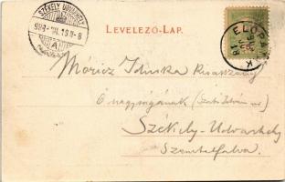 1903 Előpatak, Valcele; Főkút. Julius Müller, Alfred Tartler / Fantina principalá / villas, main wel...