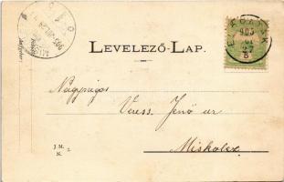 1905 Előpatak, Valcele; Sarolta tér / square