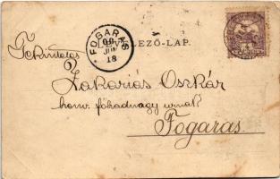 1900 Erzsébetváros, Dumbraveni; Állami gimnázium. Scholtes Albert kiadása / grammar school. Floral (...