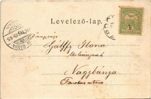 1905 Erdőd, Károlyierdőd, Ardud (Szatmár); Erdődvár, Rákóczi vár, Petőfi torony. Demeter József kiad...