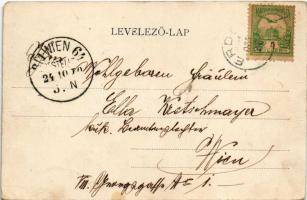 1901 Erdőd, Károlyierdőd, Ardud (Szatmár); Erdődvár, Rákóczi vár, Petőfi torony / Cetatea Ardud (Cas...