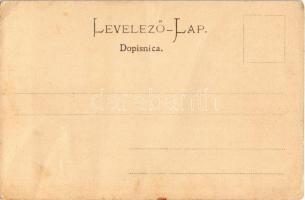 Erdőd, Erdut; Rusevina u Erdutu / Ruine in Erdőd / vár. Phot. u. Verlag v. Eugen Selzer / castle rui...