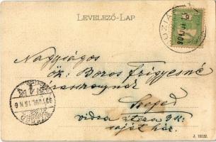 1904 Buziás, Sétány a meleg fürdőhöz. Huzly István kiadása / promenade to the spa