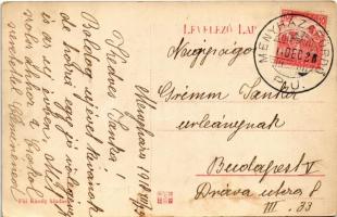 1918 Menyházafürdő, Monyásza, Baile Moneasa; Curia épület. Fái Károly kiadása / spa villa (EK)