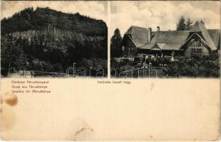 1908 Abrudbánya, Abrud; Detunata bazalt hegy, menház / Detonáta / mountain and rest house (fl)
