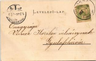 1903 Vízakna, Salzburg, Ocna Sibiului; Honvéd emlékszobor az 1848-as szabadságharc emlékére. Takáts ...