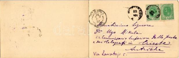 1903 Bucuresti, Bucharest, Bukarest; 2-tiled folding panoramacard