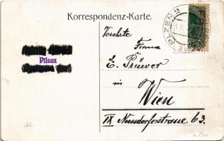 Plzen, Pilsen; Bürgerliches Bräuhaus, Wasserturm, Neue Mälzerei, Malztenne, Elektrische Kraft- und L...