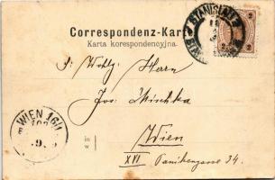 Ivano-Frankivsk, Stanislawów, Stanislau; Ogólny widok / general view (r)