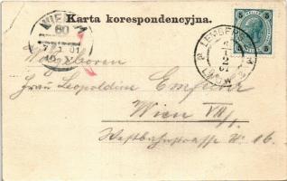 1901 Lviv, Lwów, Lemberg; Ulica Karola Ludwika / street (EK)
