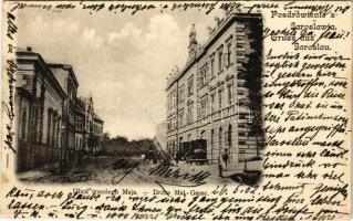 1902 Jaroslaw, Jaroslau, Yareslov; Ulica trzeciego maja / street (fl)