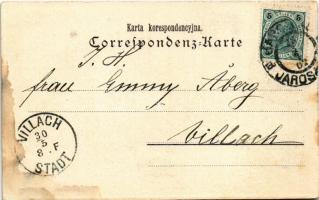 1902 Jaroslaw, Jaroslau, Yareslov; Ulica trzeciego maja / street (fl)