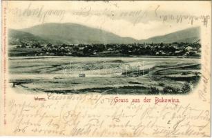 1900 Vama (Bukowina, Bukovina)