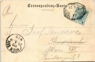 1900 Vama (Bukowina, Bukovina)