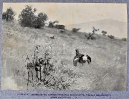 Bársony István: Magyar Földön. Természet és vadászat.Olgyay Ferencz képeivel. Első kiadás. Bp., (191...