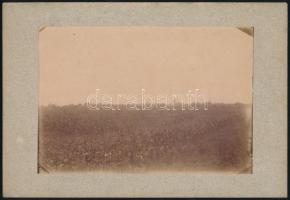 cca 1900 Szatmár, látképek, 4 db keményhátú fotó, foltos, 13×18 cm