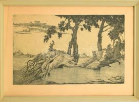 Nyári Lóránt (1928-1982): Vízparti fák. Rézkarc, papír, jelzett, üvegezett keretben, 29x48,5 cm