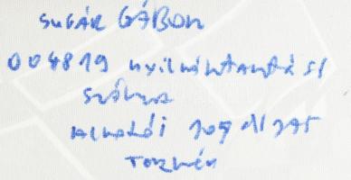 Sugár Gábor (1976- ): Csőri. Akril, foamix, vászon, jelzett, hátoldalán autográf felirattal és a műv...