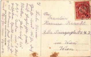 Nagykanizsa, madártávlat, utca, takarékpénztár, Haas Vilmos, Balogh Jenő üzlete, vendéglő (EK)