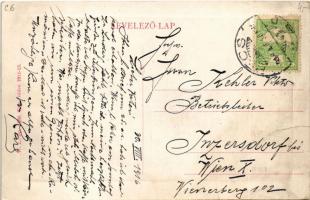 1916 Pécs, Püspöki rezidencia. W.L. Bp. 1508. (fa)