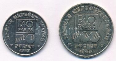 1985. 20Ft Cu-Ni "FAO" + 100Ft Cu-Ni "FAO" T:1 Adamo EM80, EM81