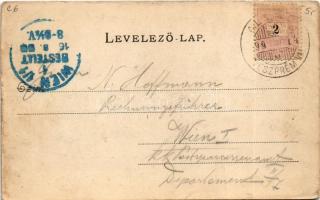 1899 (Vorläufer) Balatonalmádi, Almádi; nyaralók, szőlőskert. Köves és Boros 17. (EK)