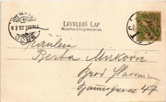 1904 Újvidék, Novi Sad; Szücs utca, üzlet. Singer József fényképész kiadása / Kürschner Gasse / stre...