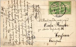 1910 Szávaszentdemeter, Mitrovice, Mitrovitz an der Save, Sremska Mitrovica; Srpski dom sa parkom / ...