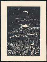 Frans Masereel (1889-1972): Újhold, fametszet, papír, jelzett a metszeten, 16x11 cm