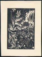 Frans Masereel (1889-1972): Felfegyverkezve, fametszet, papír, jelzett a metszeten, 16x11 cm