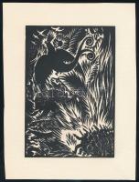 Frans Masereel (1889-1972): Paradicsommadár, fametszet, papír, jelzett a metszeten, 16x11 cm