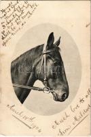 1904 Horse (vágott / cut)