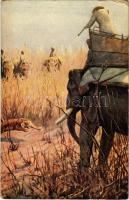 Tiger hunting Raphael Tuck & Sons Oilette Postcard No. 8780. (EK)
