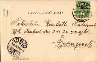 1907 Zilah, Zalau; Wesselényi szobor. Molnár Lajos kiadása / statue