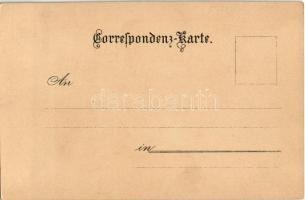 Passau. H. Koch Wien I. No. 1. litho