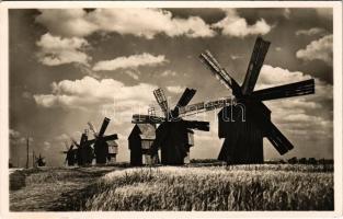 Bessarabia, Moulins / Windmühlen / Besszarábiai szélmalmok / windmills