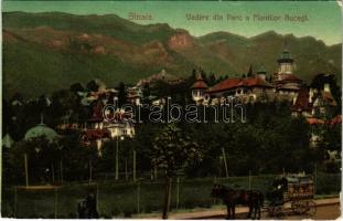1908 Sinaia, Vedere din Parc a Muntilor Bucegi / general view with Bucegi Mountains, park, villa, horse-drawn carriage of G. Matheescus shop. Editura Ad. Maier & D. Stern. Fotogr. Duschek (EB)