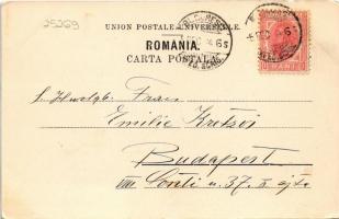 1904 Bucharest, Bukarest, Bucuresti, Bucuresci; Palatul Universitatii / University Palace, monument....