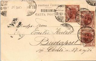 1905 Bucharest, Bukarest, Bucuresti, Bucuresci; Sala tronului din palatul Regal din Bucuresci / thro...