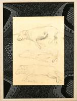 Dolányi Benczúr Ida (1876 - 1970): Kutya tanulmány. Ceruza, papír. 29x21cm. Üvegezett fa keretben.