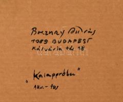 Breznay András (1963-): Kalappróba. Akvarell, tus, papír, jelzett. Paszpartuban, hátoldalán autográf...