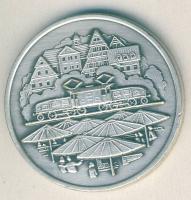 NSZK 1984. "Első göppingeni fesztivál-látkép vasúttal" ffém emlékérem T:1