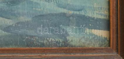 Berkes Ilona (1910 - 1966): Balaton 1959. Akvarell, papír. Jelzett. 23,5x33cm. Üvegezett, sérült, fa...