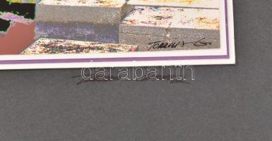 Tobischka Gabriella: Velencei táj. Művészfotó. 28x43cm