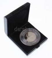 Írország 1990. 5E Ag "Gímszarvas" műanyag tokban T:PP 
Ireland 1990. 5 Ecu Ag "Red d...