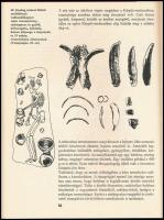 Kalicz Nándor: Agyag istenek. A neolitikum és a rézkor emlékei Magyarországon. Hereditas. Bp., 1974,...