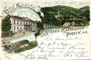 1896 Prein Hotel Litho